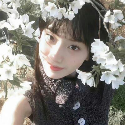 完美配对谋杀案